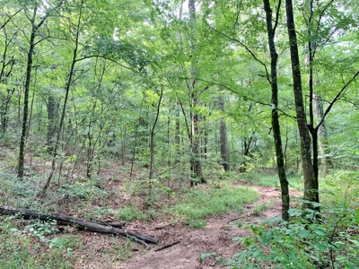36 Acres, Off-grid Cabin with Lake for Sale Amite County, MS - image 31