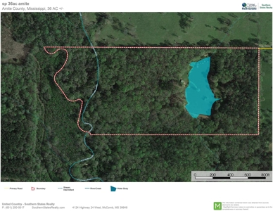 36 Acres, Off-grid Cabin with Lake for Sale Amite County, MS - image 44
