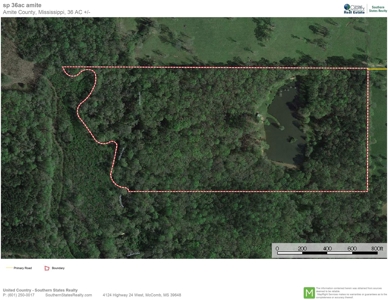 36 Acres, Off-grid Cabin with Lake for Sale Amite County, MS - image 43