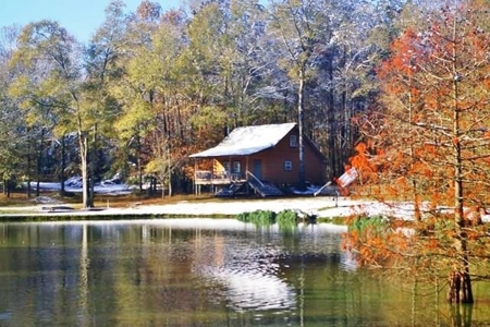 36 Acres, Off-grid Cabin with Lake for Sale Amite County, MS - image 35