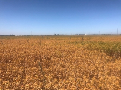 Northern California Farm Land For Sale - image 4