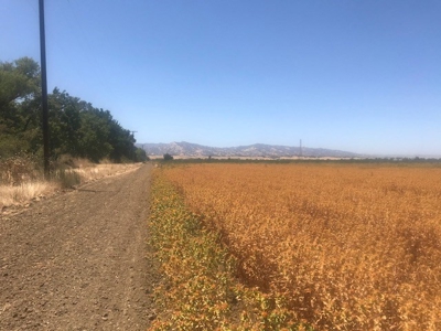 Northern California Farm Land For Sale - image 5