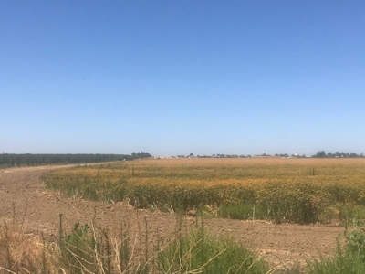 Northern California Farm Land For Sale - image 2