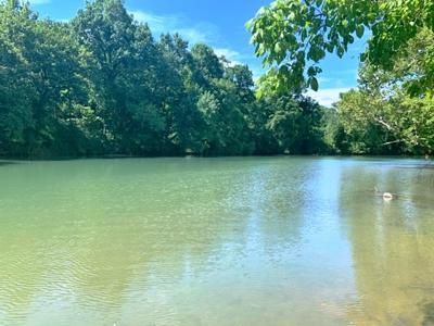 Acreage on the Spring River For Sale in Hardy AR - image 1