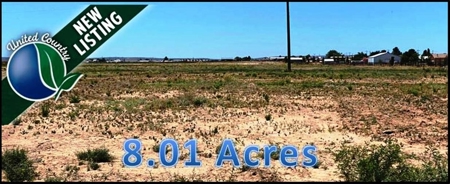 Acreage or Land For Sale in Carlsbad New Mexico - image 1