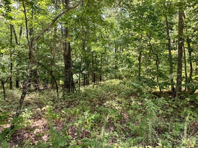 Waterfront Property For Sale In Arkansas - image 2