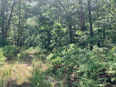 Waterfront Property For Sale In Arkansas - image 3