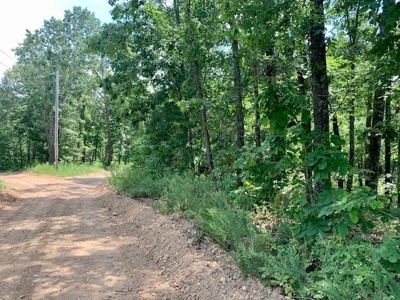 Waterfront Property For Sale In Arkansas - image 1