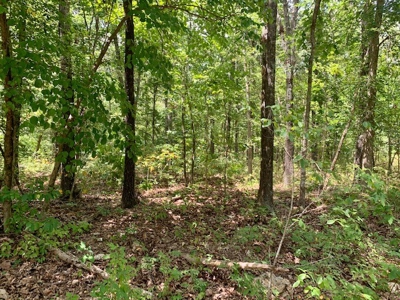 Waterfront Property For Sale In Arkansas - image 4