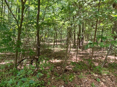Waterfront Property For Sale In Arkansas - image 5