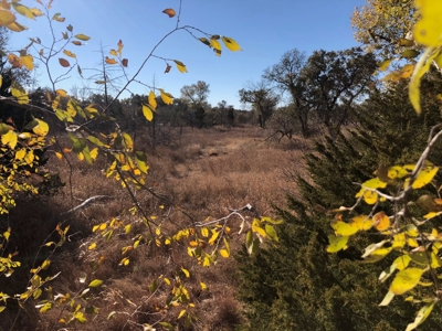 10 Acres ± Enjoy BOTH sides of the Salt Fork River Alva, OK - image 6