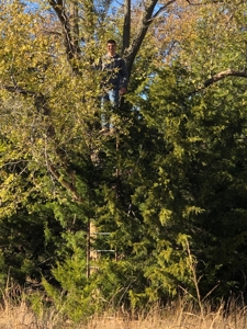10 Acres ± Enjoy BOTH sides of the Salt Fork River Alva, OK - image 2