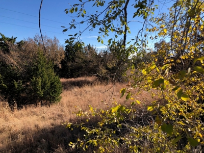 10 Acres ± Enjoy BOTH sides of the Salt Fork River Alva, OK - image 4