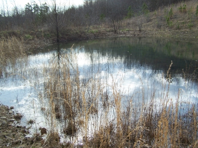 Rustic Hunting Cabin on 10 Ac in Arkansas Ozarks - image 7