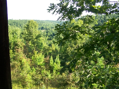 Rustic Hunting Cabin on 10 Ac in Arkansas Ozarks - image 29