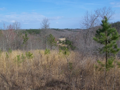 Rustic Hunting Cabin on 10 Ac in Arkansas Ozarks - image 10