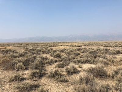 Nevada Recreational Property Land For Sale Wells Elko County - image 12