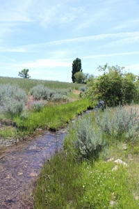 Ranch Property for Sale in Modoc County! - image 5