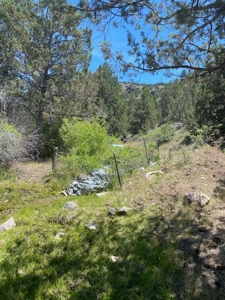 Ranch Property for Sale in Modoc County! - image 30