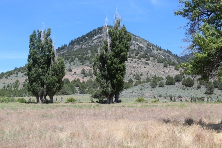 Ranch Property for Sale in Modoc County! - image 13