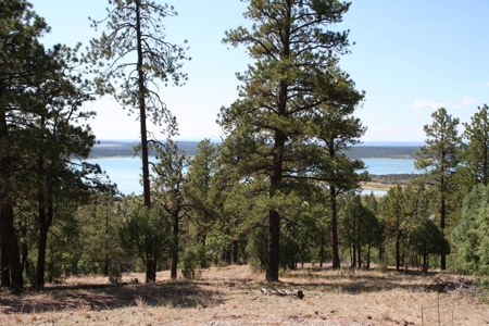 Beautiful +/- 4.985 Mountain Property With Lake Views - image 3