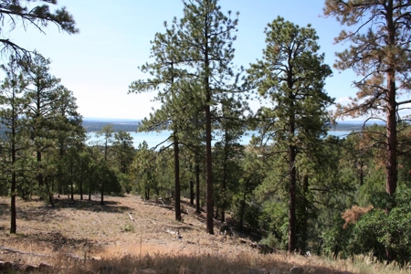 Beautiful +/- 4.985 Mountain Property With Lake Views - image 4