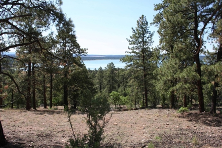 Beautiful +/- 4.985 Mountain Property With Lake Views - image 2