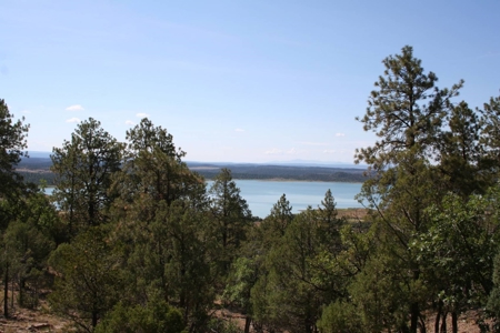 Beautiful +/- 4.985 Mountain Property With Lake Views - image 1