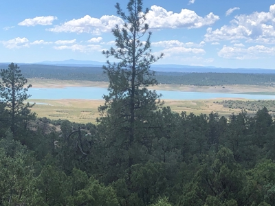 Beautiful +/- 4.985 Mountain Property With Lake Views - image 6