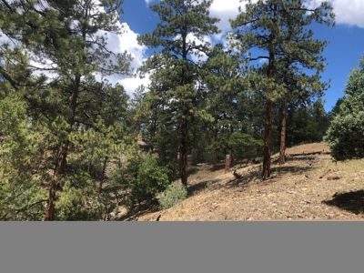 Beautiful +/- 4.985 Mountain Property With Lake Views - image 7
