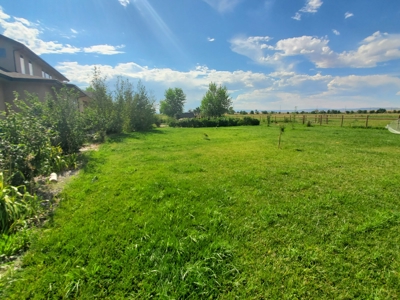Grand Junction Country Home Horse Property - image 43