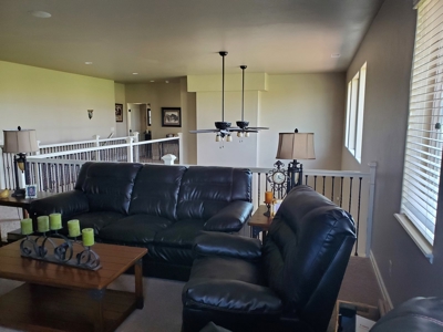 Grand Junction Country Home Horse Property - image 33