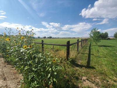 Grand Junction Country Home Horse Property - image 39