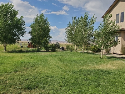 Grand Junction Country Home Horse Property - image 41