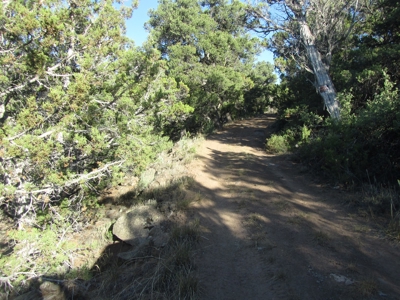 Vacant Land Borders BLM and National Forest For Sale in CO - image 9