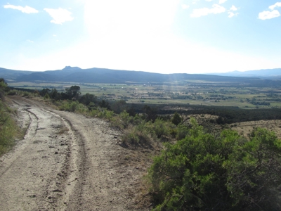 Vacant Land Borders BLM and National Forest For Sale in CO - image 3