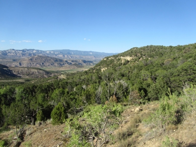 Vacant Land Borders BLM and National Forest For Sale in CO - image 4