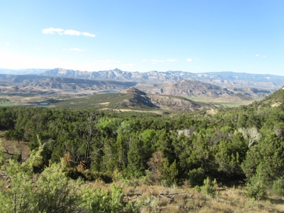 Vacant Land Borders BLM and National Forest For Sale in CO - image 1
