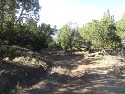 Vacant Land Borders BLM and National Forest For Sale in CO - image 5