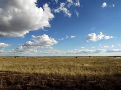 Residential Lots For Sale in Moriarty New Mexico - image 1
