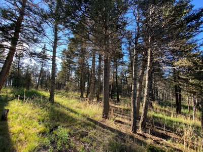 Sustainable Mountain Luxury Hunting Property for Sale in CO - image 25