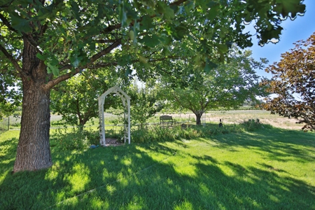 Hobby Farm with Orchard, Workshop, Home For Sale in Colorado - image 21