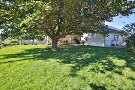 Hobby Farm with Orchard, Workshop, Home For Sale in Colorado - image 4