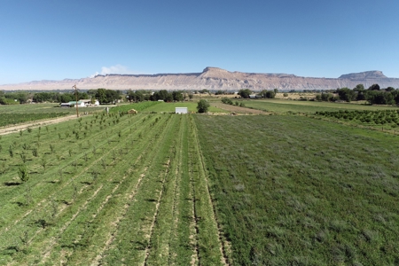 Hobby Farm with Orchard, Workshop, Home For Sale in Colorado - image 20