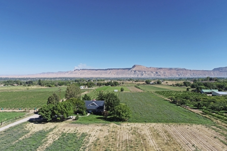 Hobby Farm with Orchard, Workshop, Home For Sale in Colorado - image 25