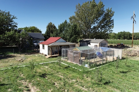 Hobby Farm with Orchard, Workshop, Home For Sale in Colorado - image 23