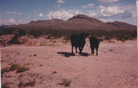 Texas land for sale near Sierra Blanca and Interstate 10 - image 3
