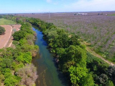 Northern California Income Producing Orchards For Sale - image 2