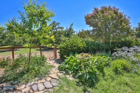 Northern California Income Producing Orchards For Sale - image 43