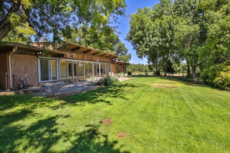 Northern California Income Producing Orchards For Sale - image 24